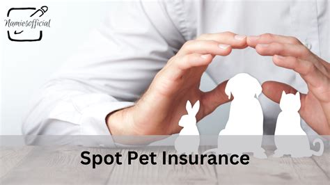 Spot Pet Insurance Review: Comprehensive Coverage for Furry Companions