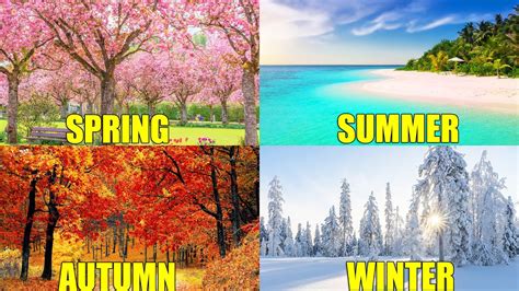 Spring (March-May) and autumn (September-November)