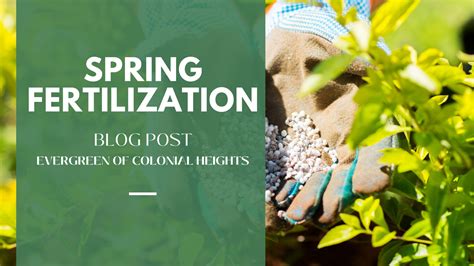 Spring Fertilization: