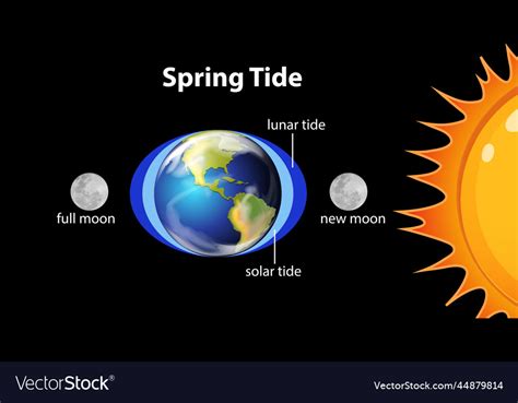 Spring Tides: