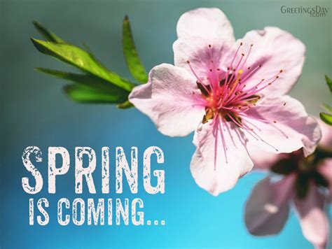 Springtime Coming PDF