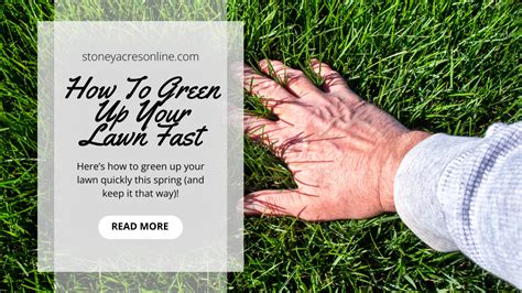 Springtime Fertilizer: 10 Ways to Green Up Your Lawn