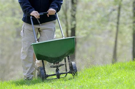 Springtime Fertilizer: 5 Tips to Boost Your Garden's Health