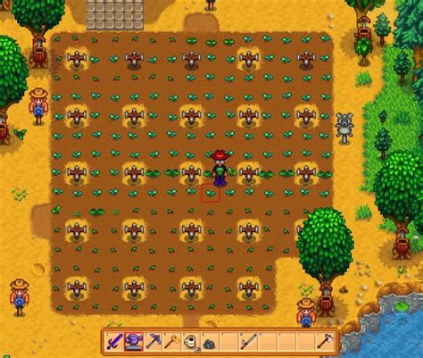 Sprinkler Placement in Stardew Valley: A Comprehensive Guide