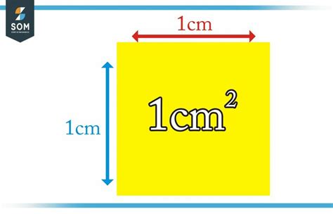 Square Centimeter: A Versatile Unit of Measurement