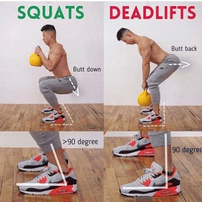 Squat vs Deadlift: A Comprehensive Comparison