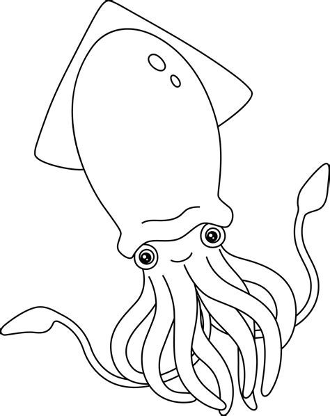 Squid Coloring Sheet: A Fun and Educational Activity for Kids of All Ages