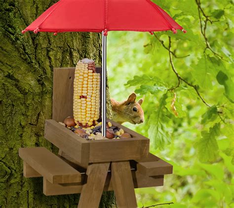 Squirrel Feeding: A Comprehensive Guide to Nourishing Your Nutty Neighbors