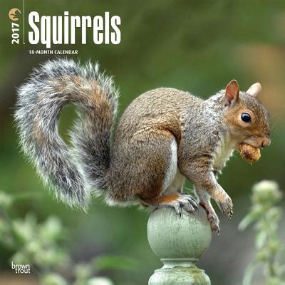 Squirrels 2017 Square BrownTrout Doc