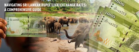 Sri Lanka LKR to USD: A Comprehensive Guide to Currency Exchange