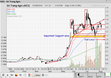 Sri Trang Agro Thailand Share Price: A Comprehensive Guide