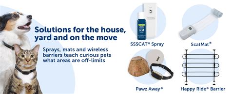 Ssscat: A Comprehensive Guide to Motion-Activated Pet Deterrents