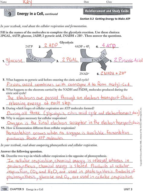 Staar Biology 9th Grade Exam Answer 2013 Doc