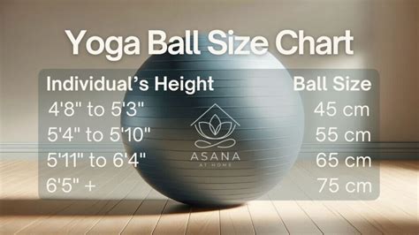 Stability Ball Size Chart
