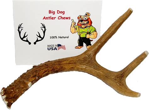 Stag Antlers for Dogs: The Ultimate Guide to Safety, Benefits, and More