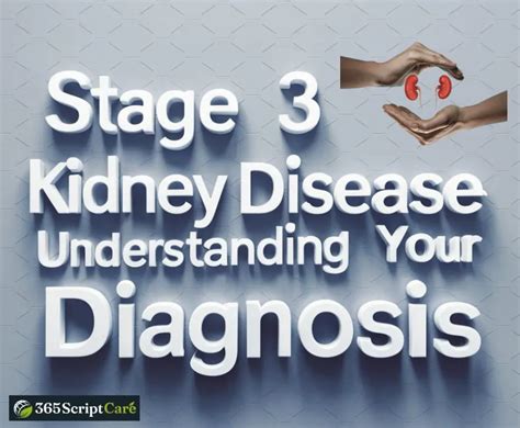 Stage 3 Kidney Disease in Elderly: Exploring an Underrecognized Yet Prevalent Condition