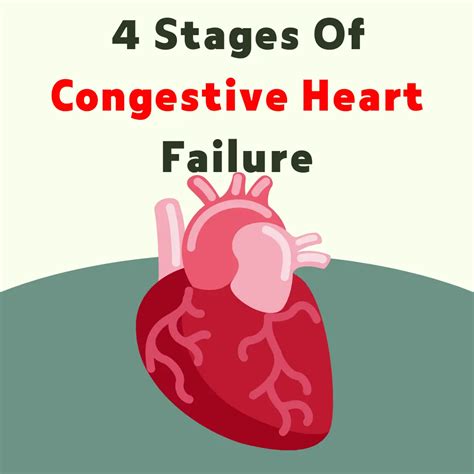 Stage 4 Congestive Heart Failure: A Critical Guide