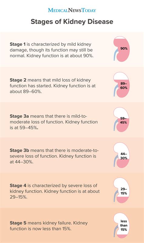 Stage 4 Renal Disease: 10 Essential Facts You Need to Know