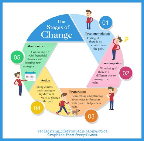 Stages Patterns of Change Over Time The Family therapy collections Doc