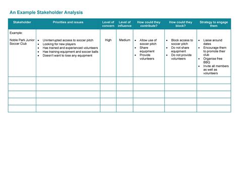 Stakeholder Analyse Template