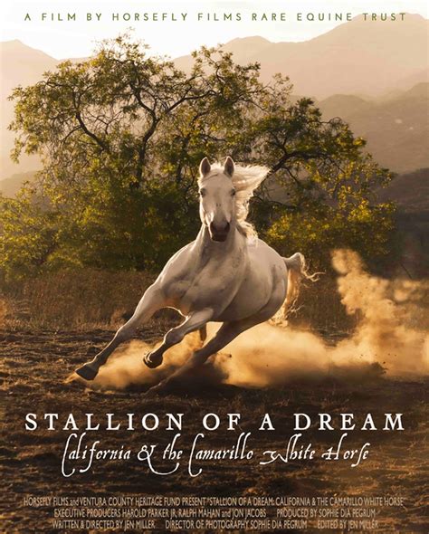 Stallion of a Dream Reader