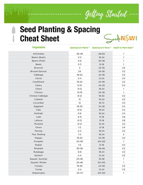 Standard Seed: