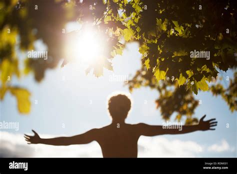 Standing in the Sun PDF