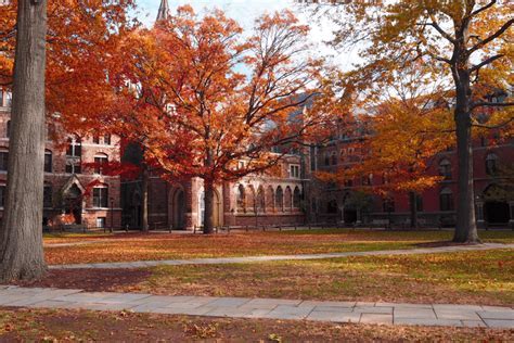 Stanford Law School Class Profile: A Comprehensive Guide to Admissions