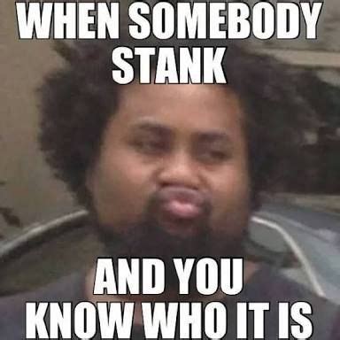 Stank Memes: 500 of the Funniest Memes That Will Make Your Nose Wrinkle