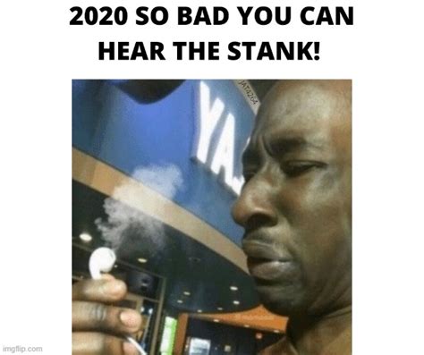 Stank Memes: The Ultimate Guide to Dank, Disgusting, and Hilarious Memes