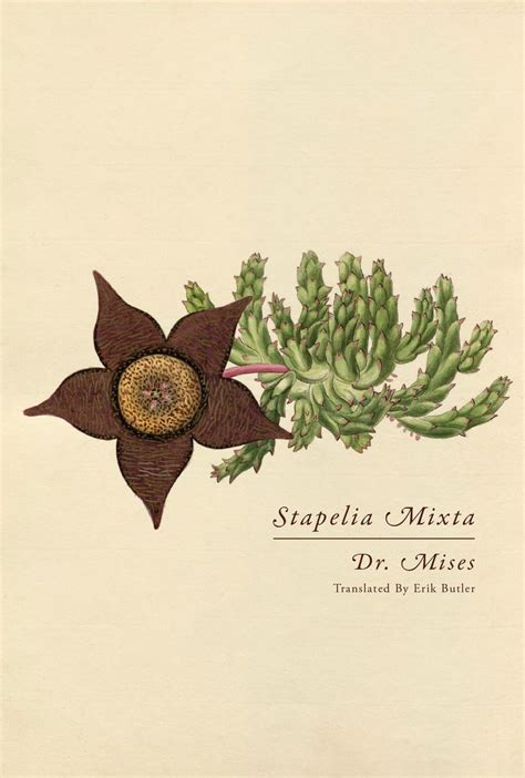 Stapelia Mixta... Reader