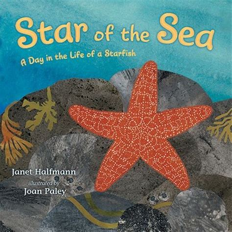 Star of the Sea A Day in the Life of a Starfish Doc