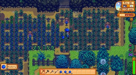 Stardew Blueberry: A Comprehensive Guide to Farming, Processing, and Profits