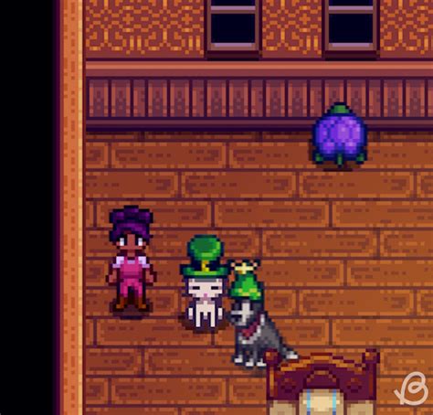 Stardew Pets: Your Purr-fect Companions in the Valley