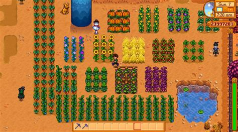 Stardew Random Seed: Ultimate Guide to Getting the Perfect Seed for Your Farm