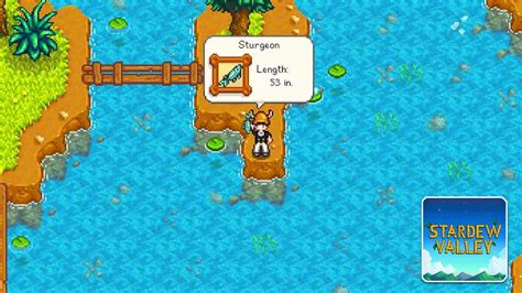 Stardew Sturgeon: A Lucrative Investment in the Valley