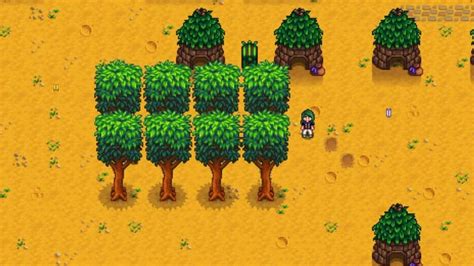 Stardew Trees: A Comprehensive Guide to 23 Essential Species