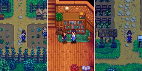 Stardew Valley: A Comprehensive Guide to Demetrius