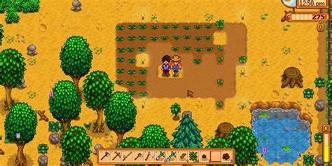 Stardew Valley: A Comprehensive Guide to Leveling Up Skills Fast