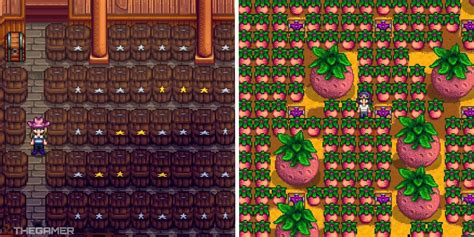 Stardew Valley 101: A Comprehensive Guide to Aged Wine