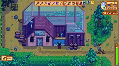 Stardew Valley Bathhouse Necklace: 101 Essential Guide