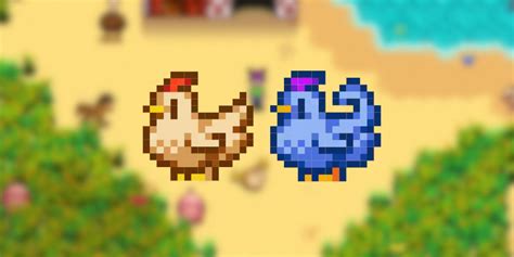 Stardew Valley Blue Chicken: A Rare Delight for Your Coop