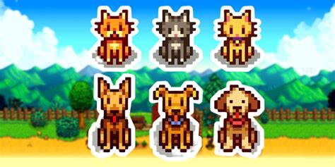 Stardew Valley Dog: 5000+ Reasons to Love Them