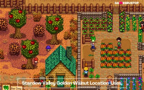 Stardew Valley Golden Walnuts: A Comprehensive Guide to Acquisition and Rewards