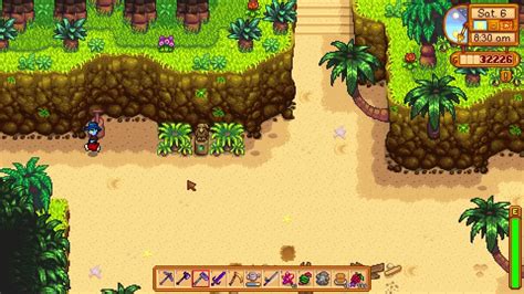 Stardew Valley How to Move the Turtles on Ginger Island: A Detailed Guide