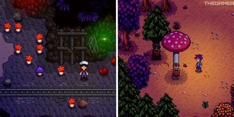 Stardew Valley Mushrooms: A Complete Guide