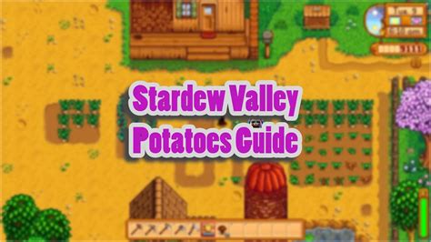 Stardew Valley Potatoes: A Guide to the Spudtacular Harvest 🏆🥔