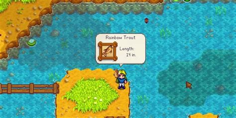 Stardew Valley Rainbow Trout: The Ultimate Catch