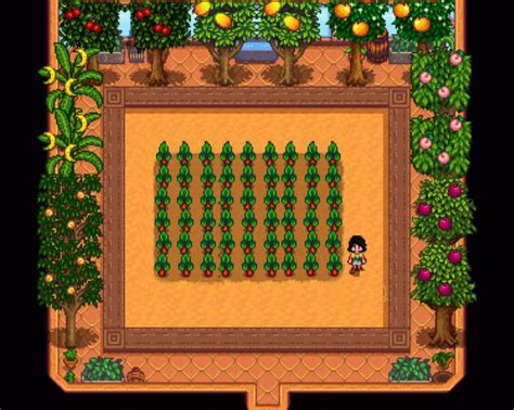 Stardew Valley Rhubarb: A Versatile Crop with Culinary and Economic Benefits