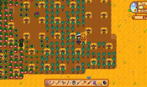 Stardew Valley Starfruit: Your Guide to the Golden Superstar Fruit